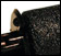 IR 40